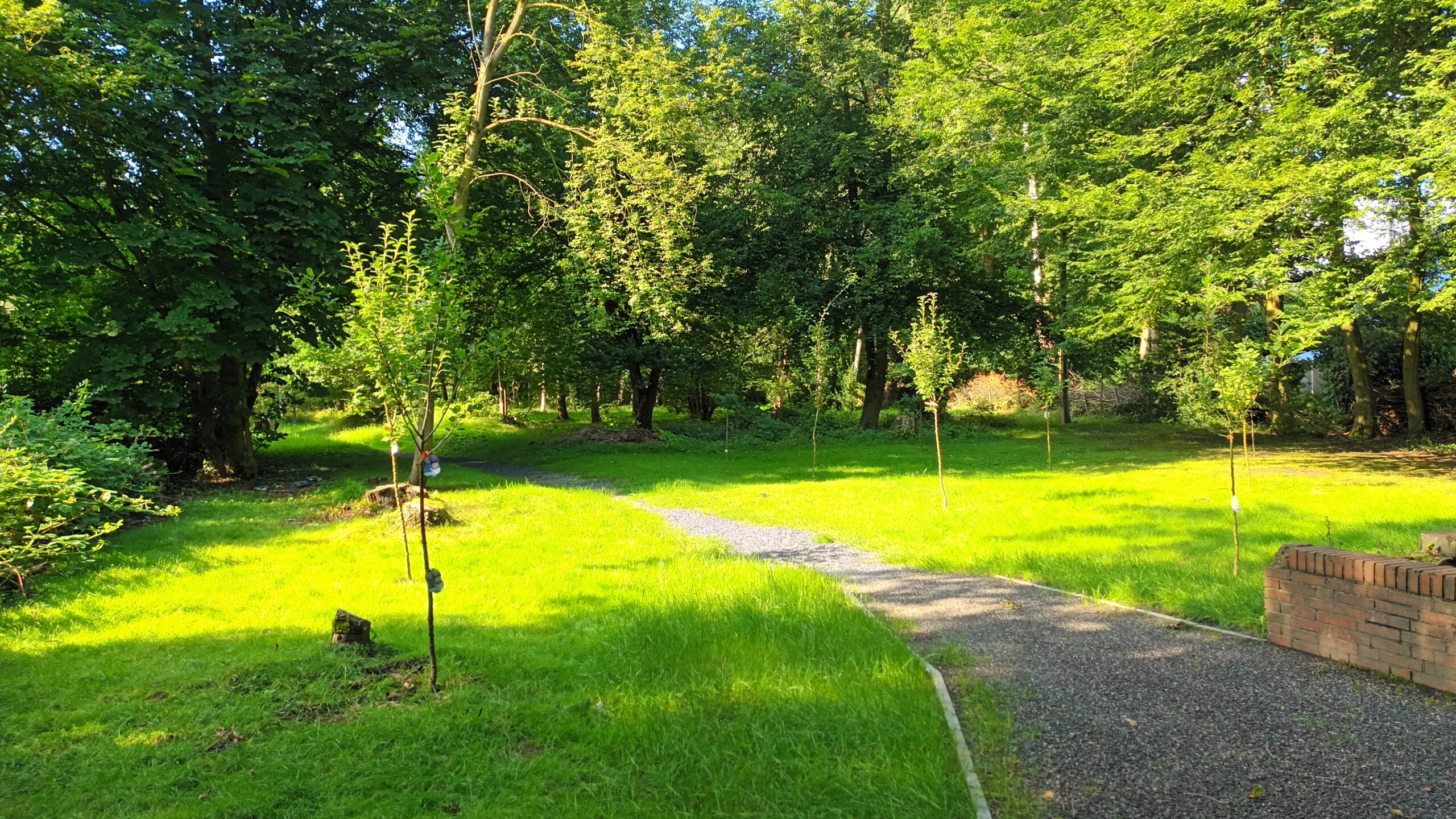 Blick auf die Obstbaumwiese 2 und das Friedenswäldchen.